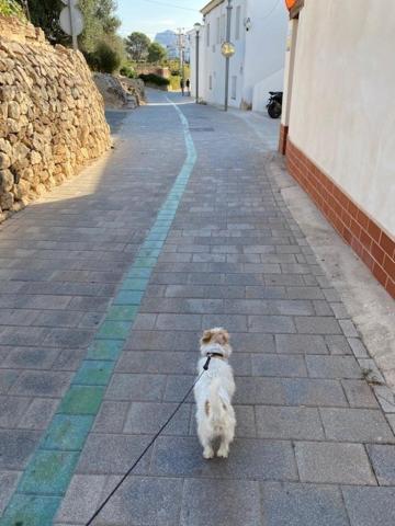 Altea Beachgate - Acceso Privado A La Playa 外观 照片